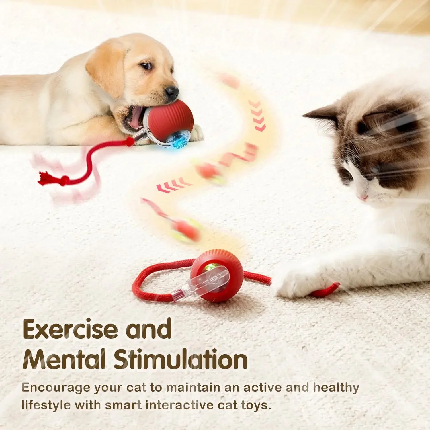 Cat Interactive Ball Toy, Automatic Rolling Ball with Tail