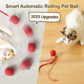 Cat Interactive Ball Toy, Automatic Rolling Ball with Tail