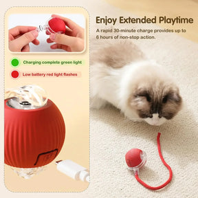 Cat Interactive Ball Toy, Automatic Rolling Ball with Tail